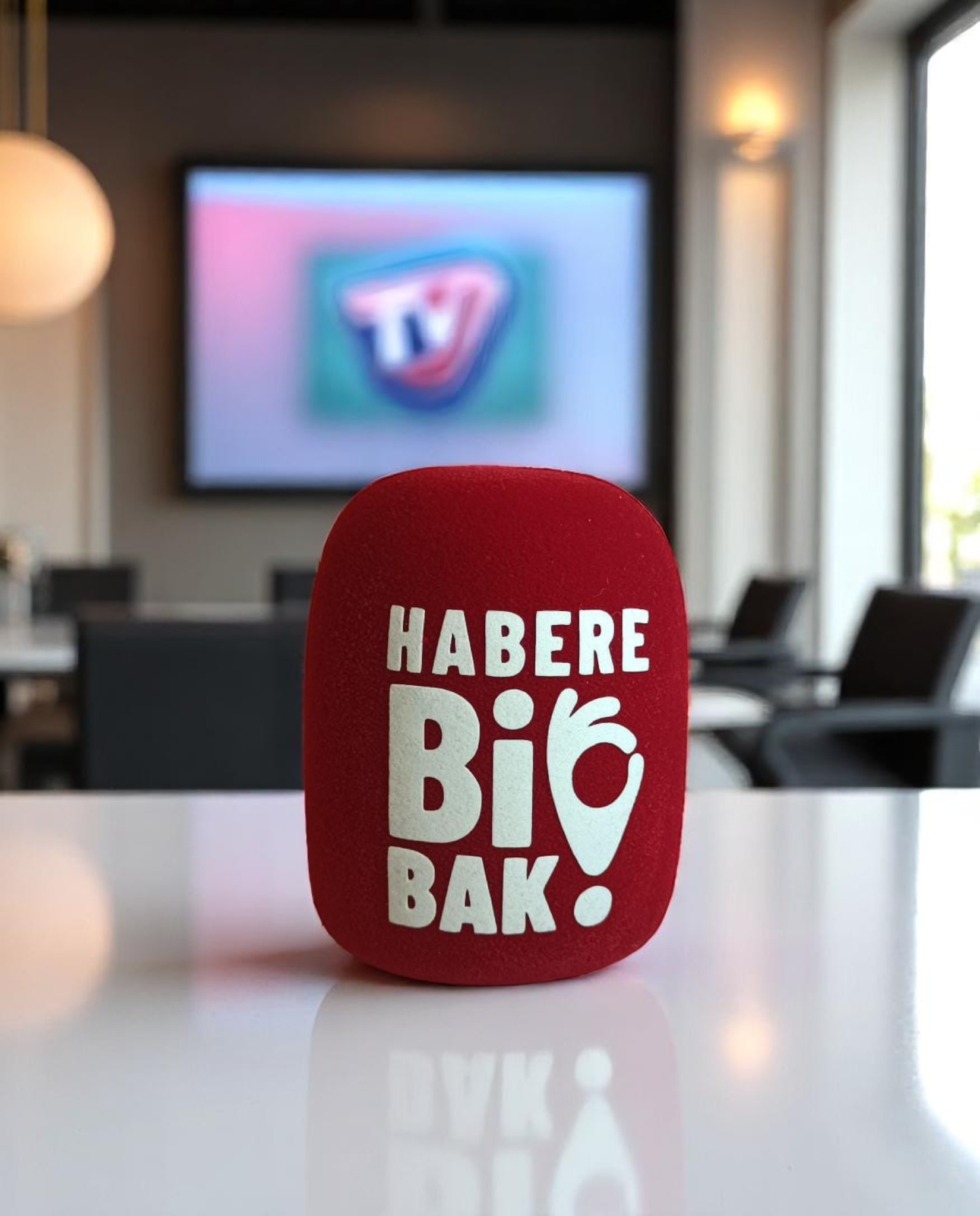 Silindir Mikrofon Süngeri